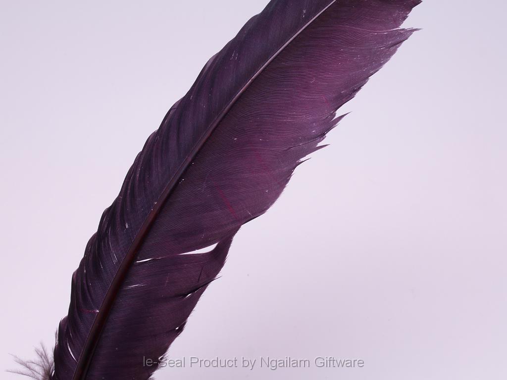 Feather color - Burgundy.JPG
